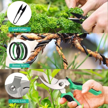 Artisan Bonsai Pruning Gift Box