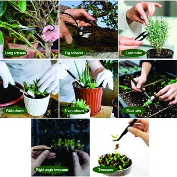 Artisan Bonsai Pruning Gift Box
