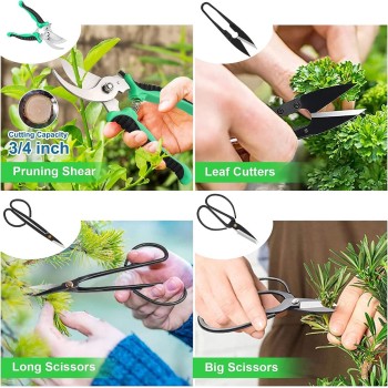 Artisan Bonsai Pruning Gift Box