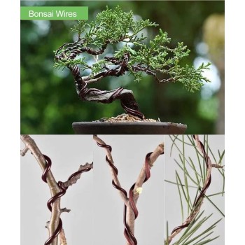 Artisan Bonsai Pruning Gift Box