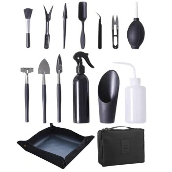 Green Thumb Succulent Gift Set