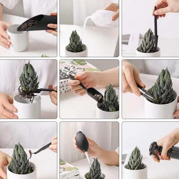 Green Thumb Succulent Gift Set