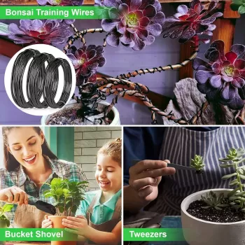 Artisan Bonsai Pruning Gift Box
